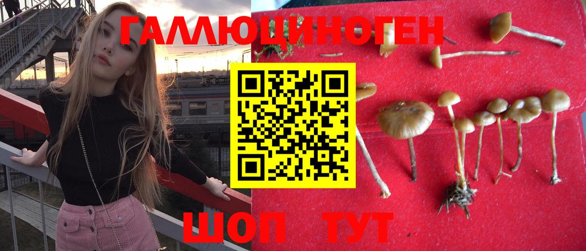 Алексин  Галлюциногенные грибы GOLDEN TEACHER  Вход с VPN 